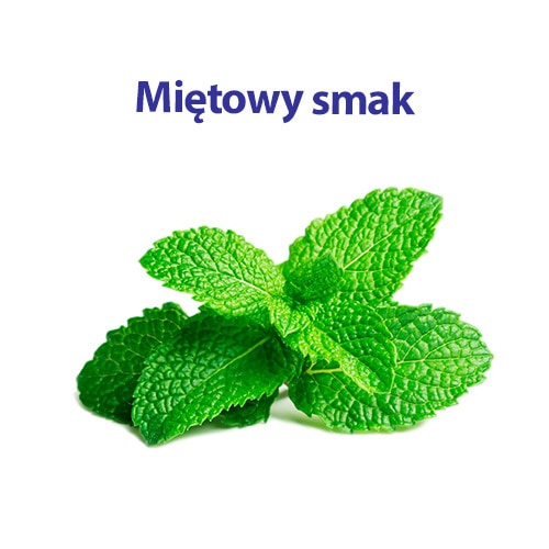 Gałązka świeżej mięty z napisem "miętowy smak"