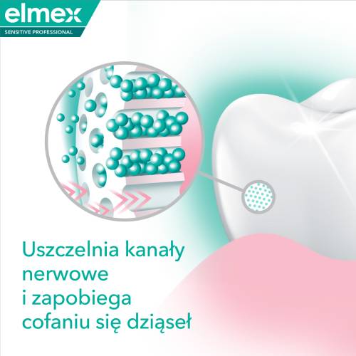 Uszczelnia kanały nerwowe
